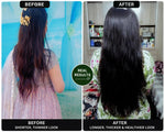 Load image into Gallery viewer, QiRah Hair Fall Control + Faster Growth Complete Kit (Oil + Shampoo + Conditioner + Comb) ⭐️Best Seller| 🚚 Free Delivery